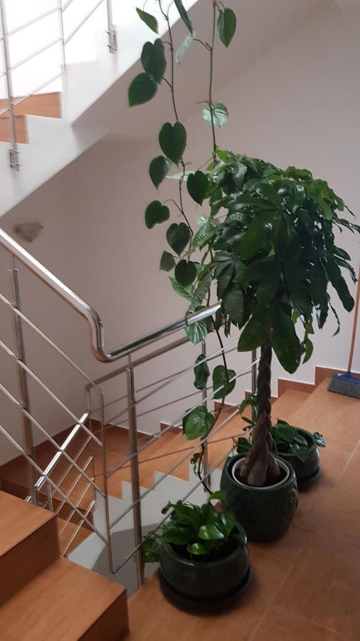 Dativo House Năvodari Buitenkant foto