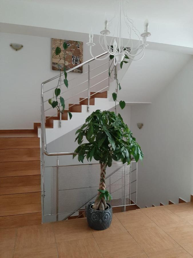 Dativo House Năvodari Buitenkant foto