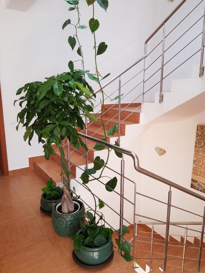 Dativo House Năvodari Buitenkant foto