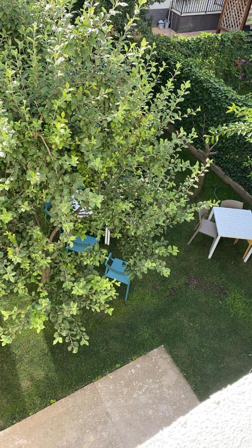 Dativo House Năvodari Buitenkant foto